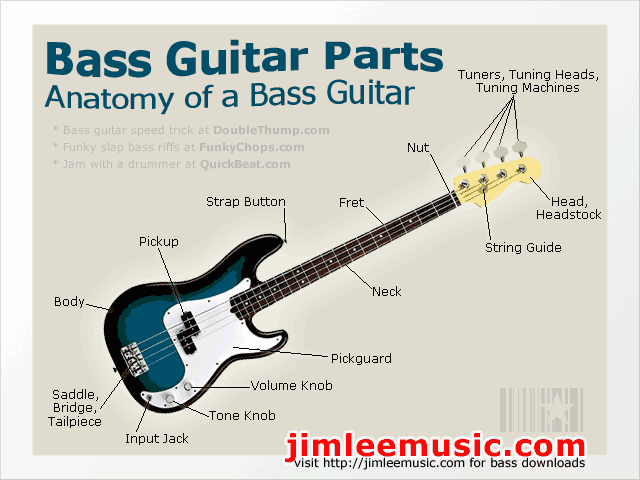 Photo diagram with the names of the parts on a bass guitar. Sponsored by FunkyChops Slap Bass Video.